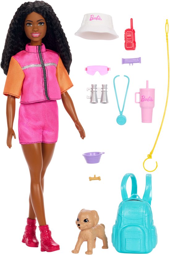 Barbie Familie en Vrienden Barbie Brooklyn Pop en Accessoires van Barbie