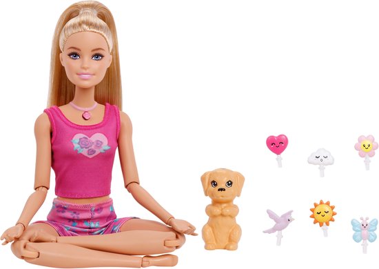 Barbie Mindful Moves Doll and Accessories